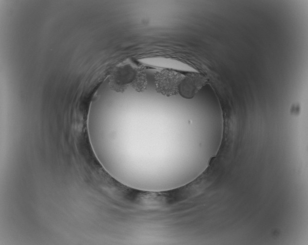 X0000112750331200909101546