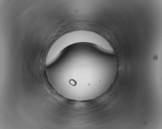 X0000112750332200909101546