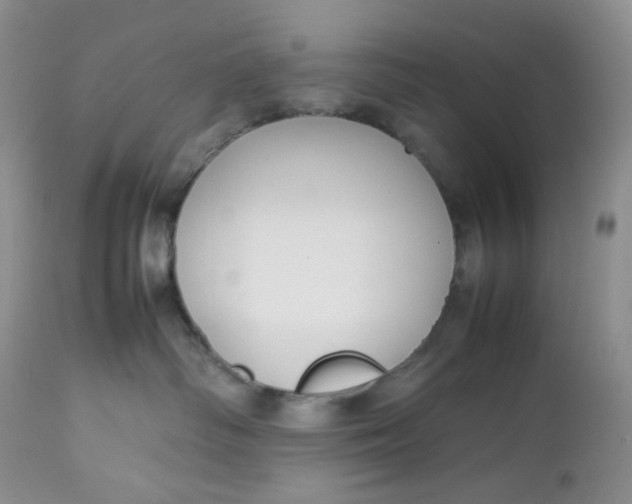 X0000112750334200909101546