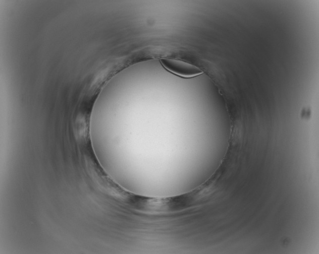 X0000112750335200909101546