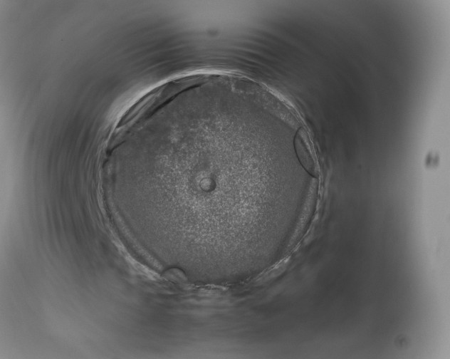 X0000112750337200909101545