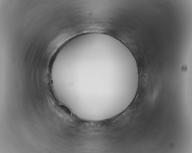 X0000112750338200909101545