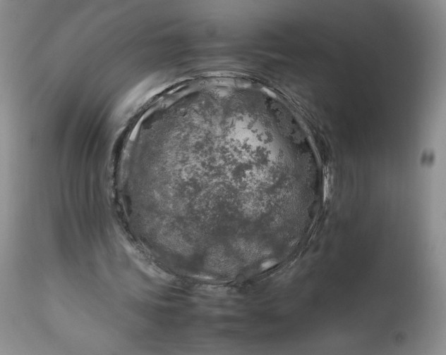 X0000112750339200909101545