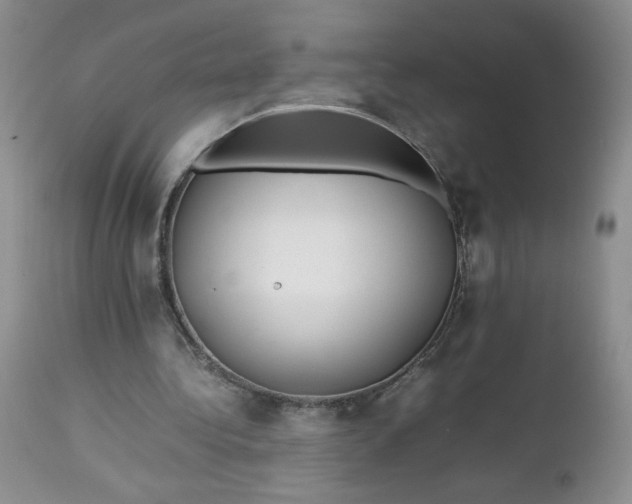 X0000112750340200909101545