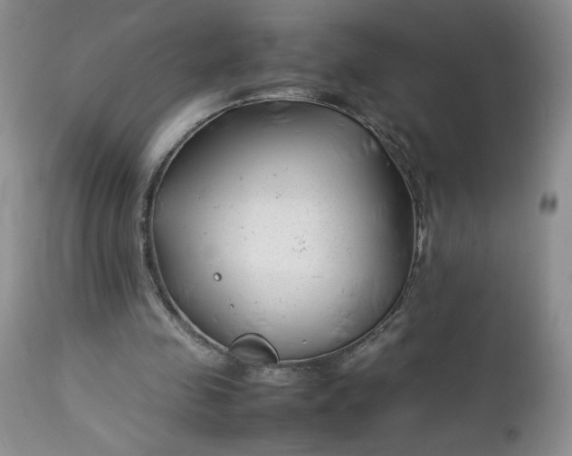 X0000112750341200909101545