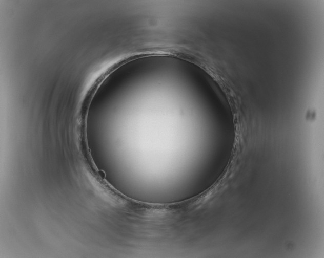 X0000112750342200909101545