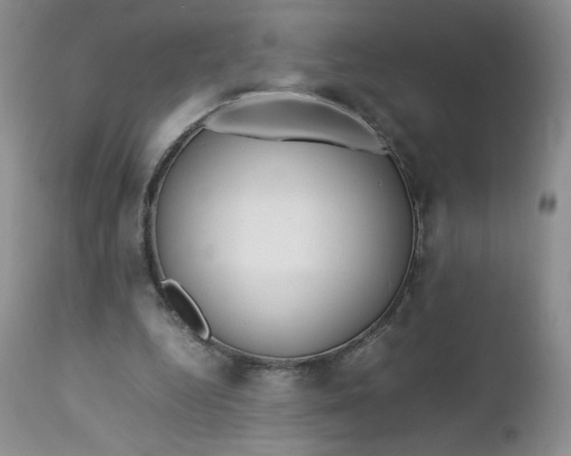 X0000112750344200909101545