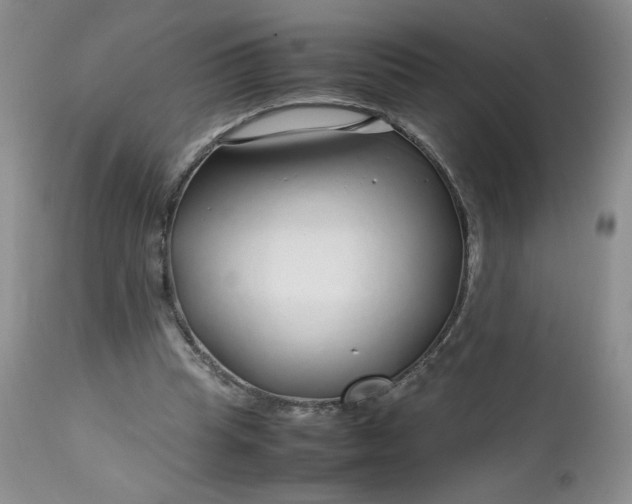 X0000112750345200909101545