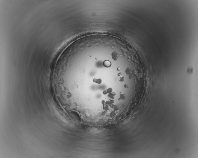 X0000112750346200909101545