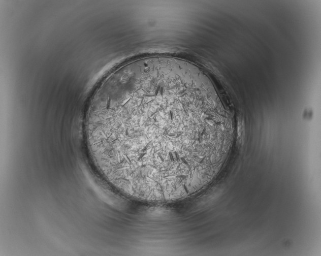 X0000112750348200909101545