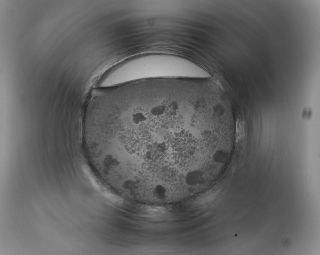 X0000112750349200909101545