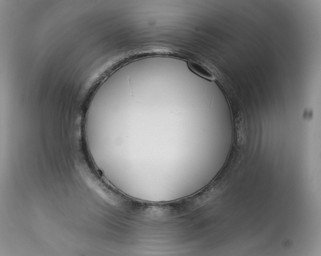 X0000112750350200909101545