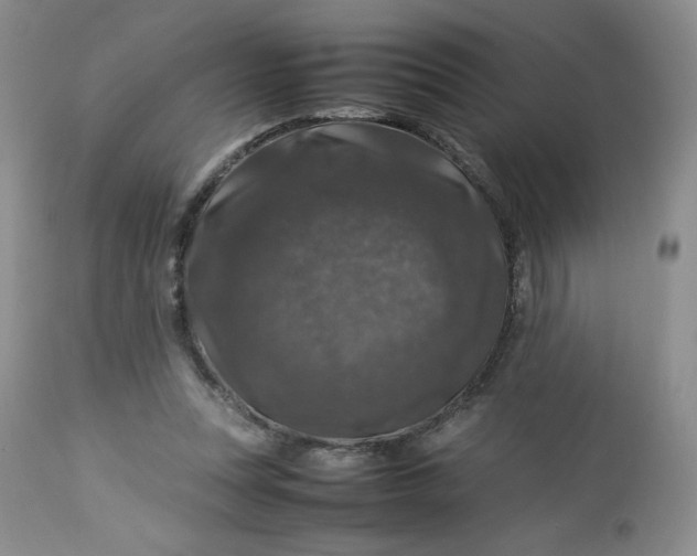 X0000112750351200909101545