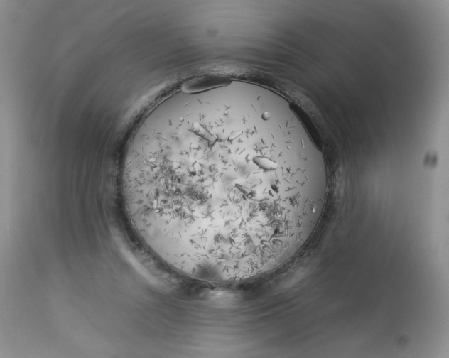 X0000112750352200909101545