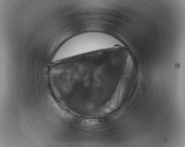 X0000112750353200909101545