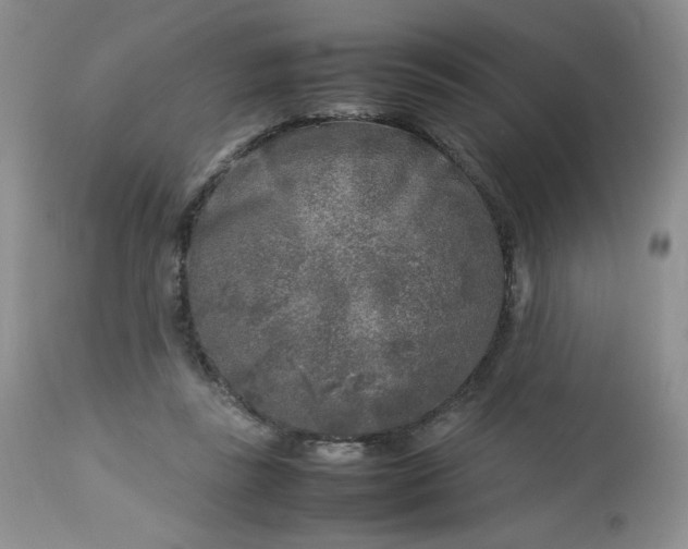 X0000112750355200909101545