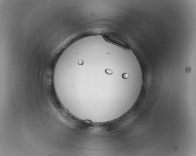 X0000112750356200909101545