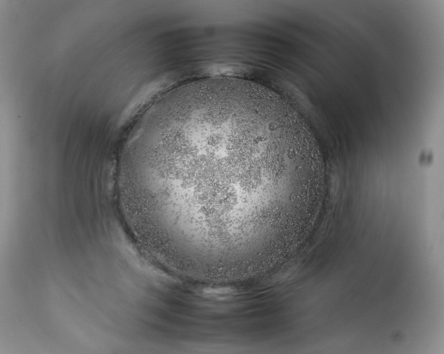 X0000112750357200909101545