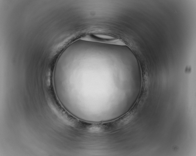 X0000112750358200909101545