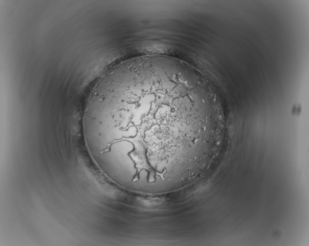 X0000112750359200909101545