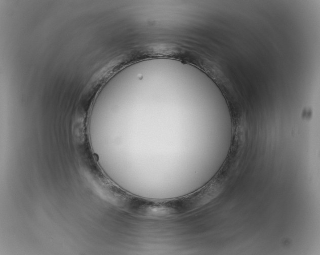 X0000112750360200909101545