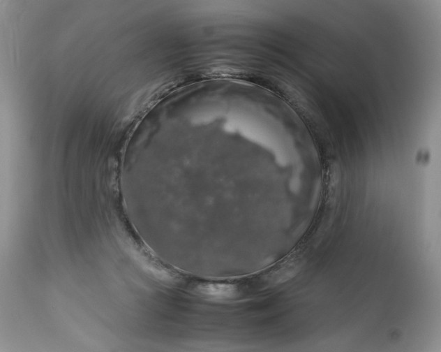 X0000112750361200909101545