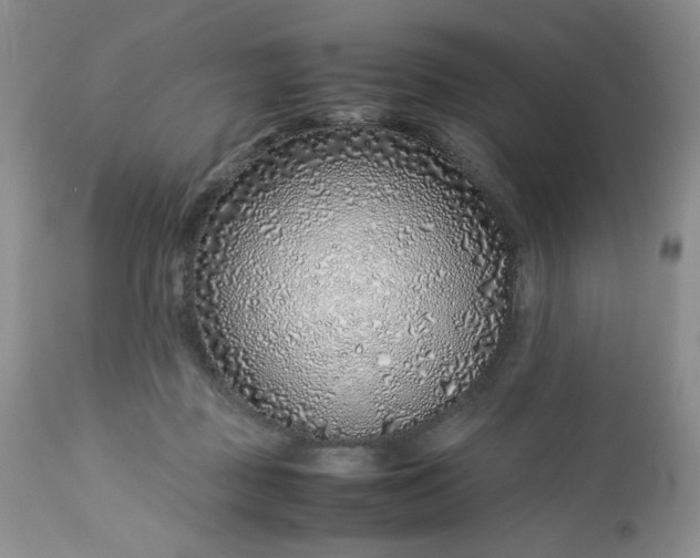 X0000112750363200909101545