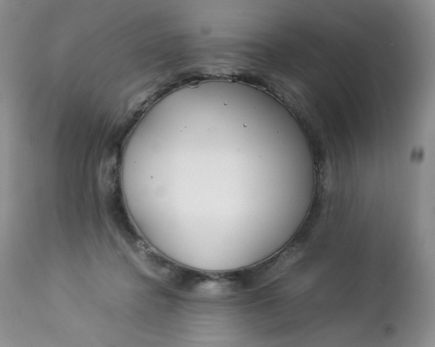 X0000112750364200909101545