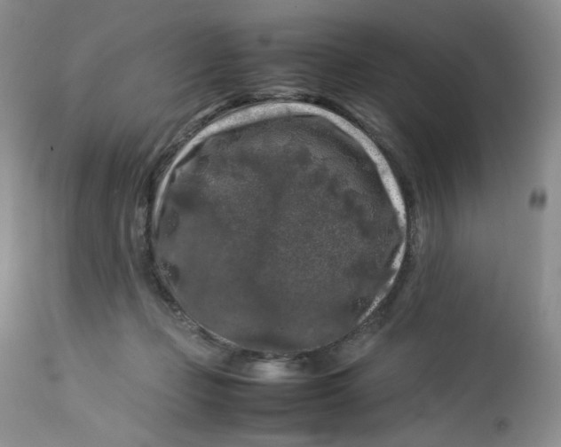 X0000112750365200909101545