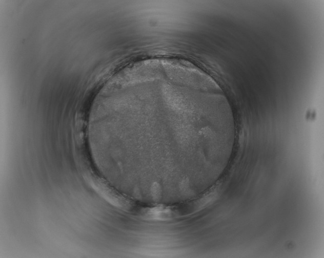 X0000112750366200909101545