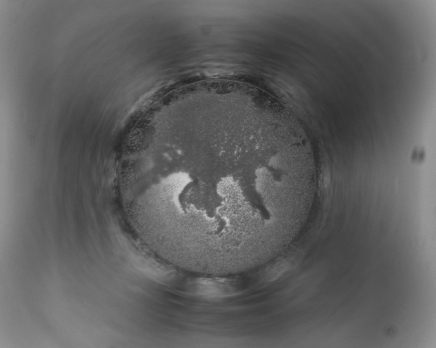 X0000112750367200909101545