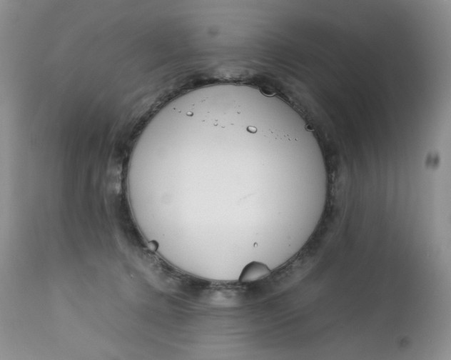 X0000112750368200909101546