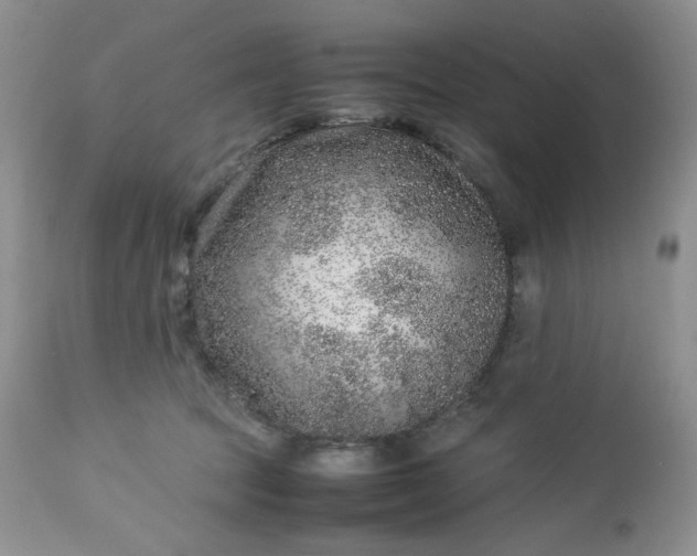 X0000112750369200909101546