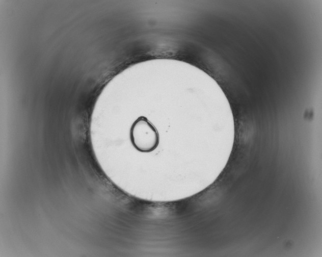 X0000112750370200909101546