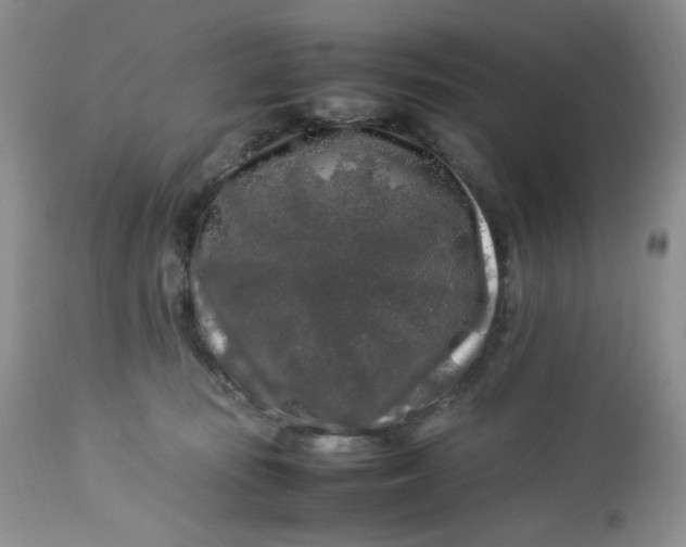 X0000112750371200909101546