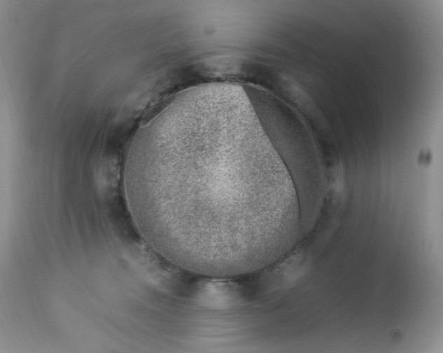 X0000112750372200909101546