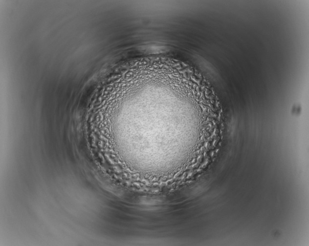 X0000112750373200909101546