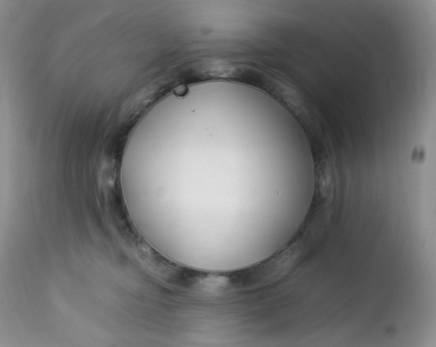 X0000112750374200909101546