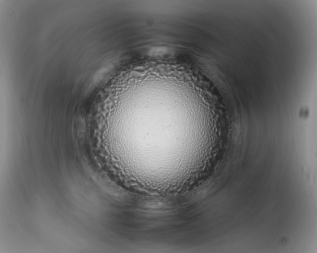 X0000112750375200909101546