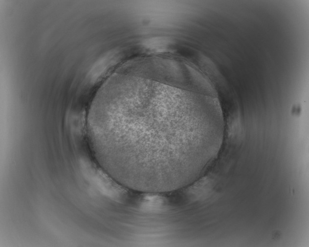 X0000112750376200909101546