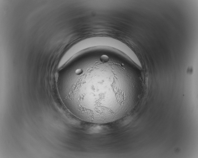 X0000112750379200909101546