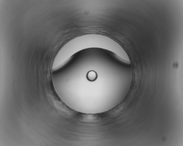 X0000112750380200909101546