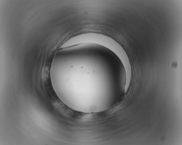 X0000112750382200909101546