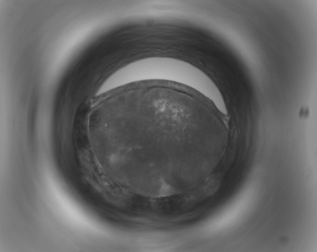 X0000112750383200909101546