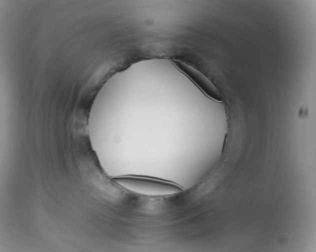 X0000112750384200909101546