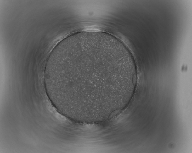 X0000112750385200909101545