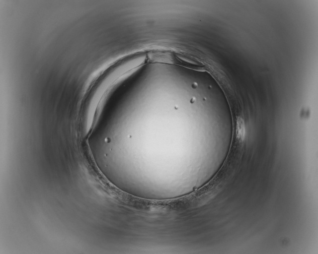 X0000112750388200909101545