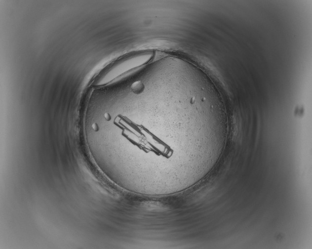 X0000112750392200909101545