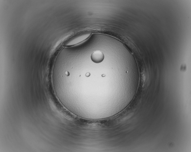 X0000112750396200909101545