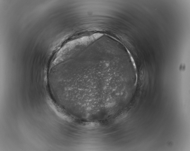 X0000112750398200909101545